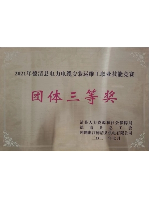 2021年德清縣電力電纜安裝運維工職業(yè)技能競賽團體三等獎