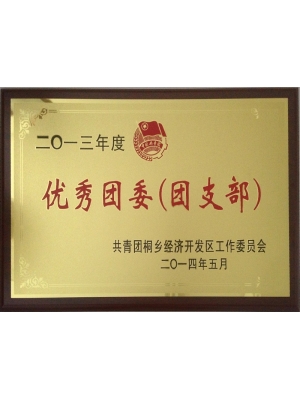 優(yōu)秀團委(團支部)